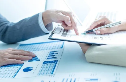 Հարկային ստուգումների ուղեկցում