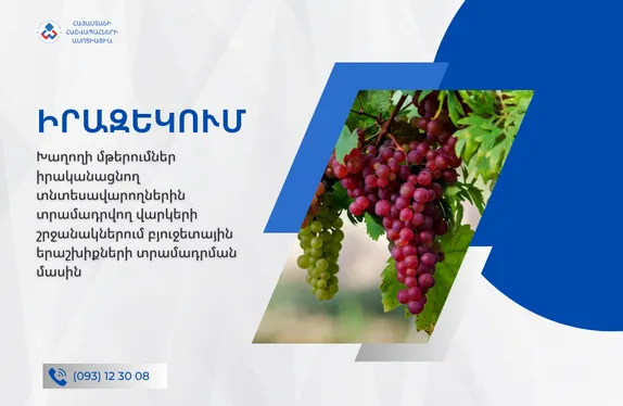 Խաղողի մթերումներ իրականացնող տնտեսավարողներին տրամադրվող վարկերի շրջանակներում բյուջետային երաշխիքների տրամադրման մասին